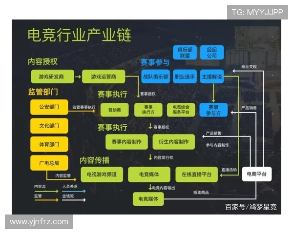 电竞职业联赛发展现状与未来趋势分析及行业竞争格局探讨
