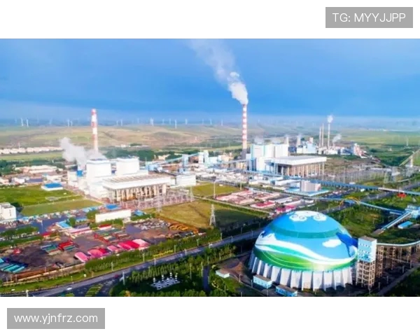 新疆广汇产业格局升级与区域经济协同发展的新探索